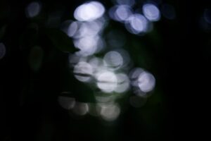 A Historical Perspective on Logical Soundness